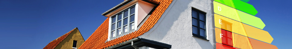 Banner - Katja Crone