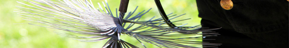 Banner - Katja Crone